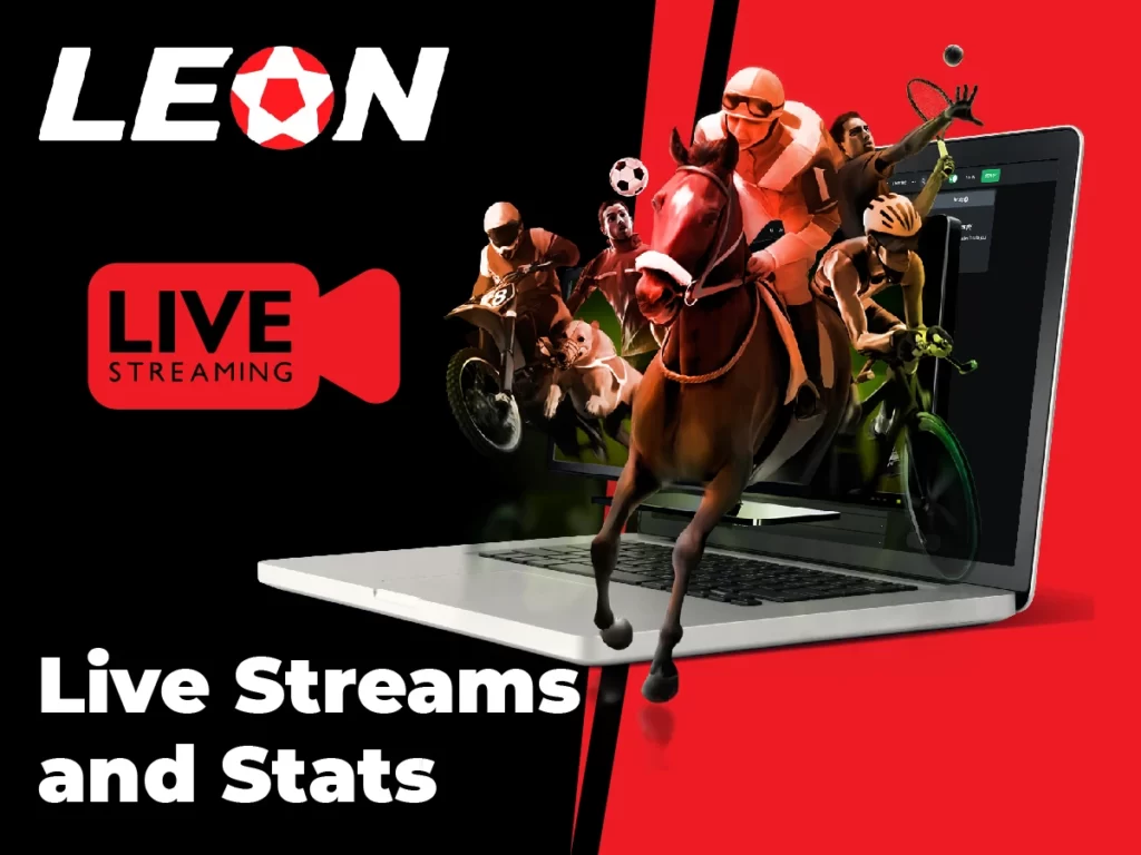 Live-Streams und Statistiken